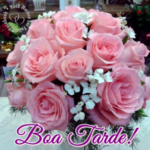 boatardessss