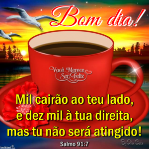 bomdiassqw
