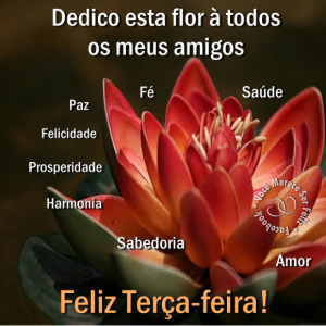 tercafeirass