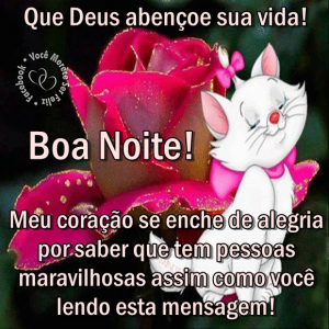 boanoitesssd