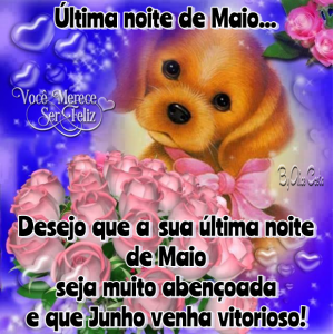 maioultimablog