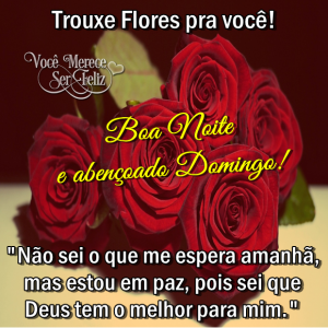 boanoitedomingo