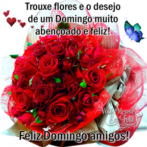 domingofelizds