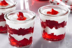 gelatinagrega