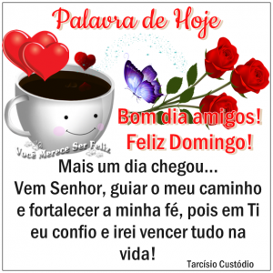 bomdiadomingonovofe