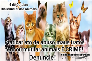 animais