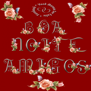 boanoiteamigosflorido