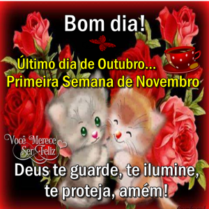 novembrodia