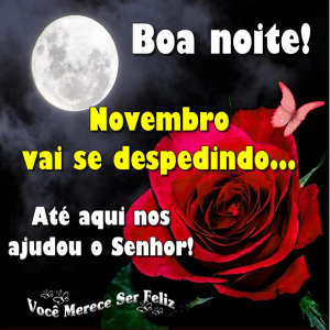 novembrodespedindo